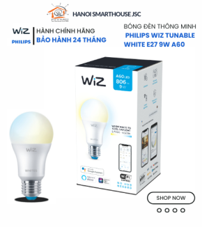 Wiz downlight OFF